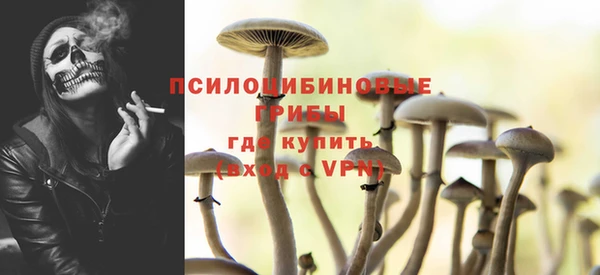 ешки Алзамай