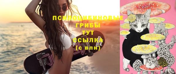 ешки Алзамай