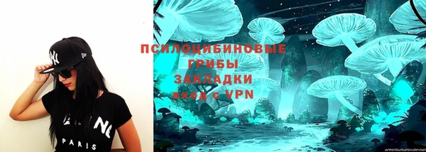 ешки Алзамай